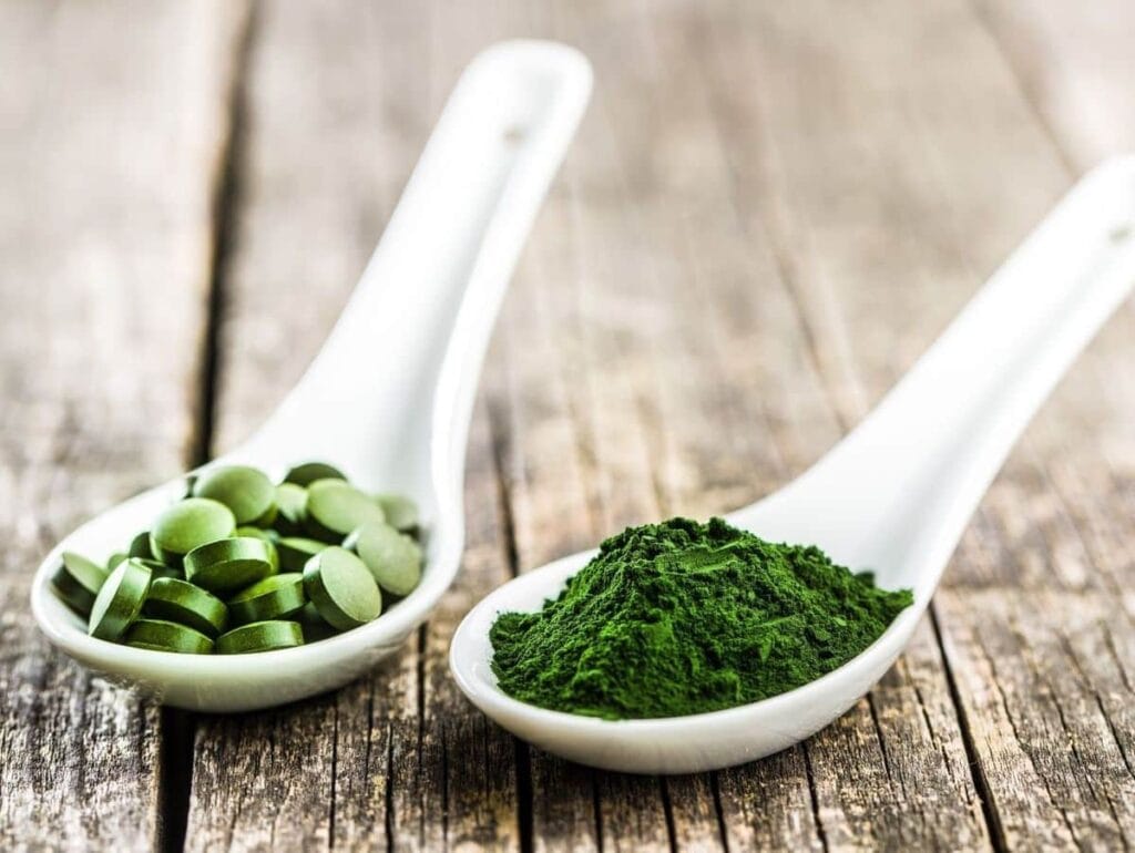 Chlorella