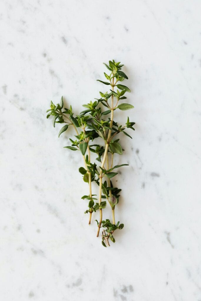 thyme