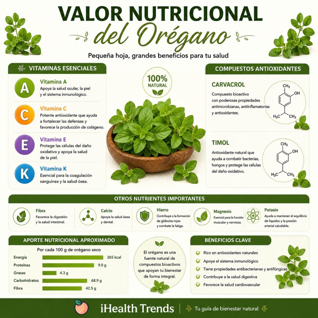 Infografía nutricional del orégano mostrando vitaminas A, C, E y K, además de antioxidantes clave como carvacrol y timol, representados mediante gráficos visuales y elementos botánicos, con la marca iHealth Trends.