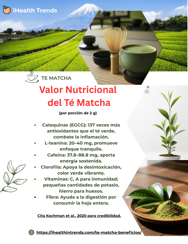 te matcha infographic