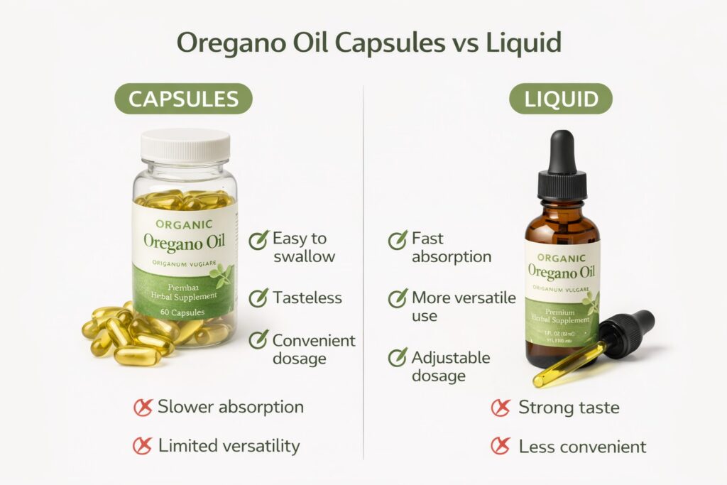 Comparison infographic of oregano oil capsules vs liquid showing pros and cons, dosage, absorption, and convenience