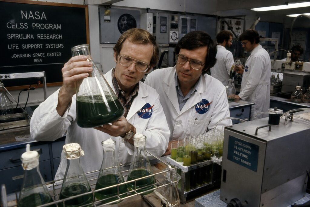 NASA scientists examining spirulina algae cultures in a 1980s laboratory during CELSS space nutrition research.