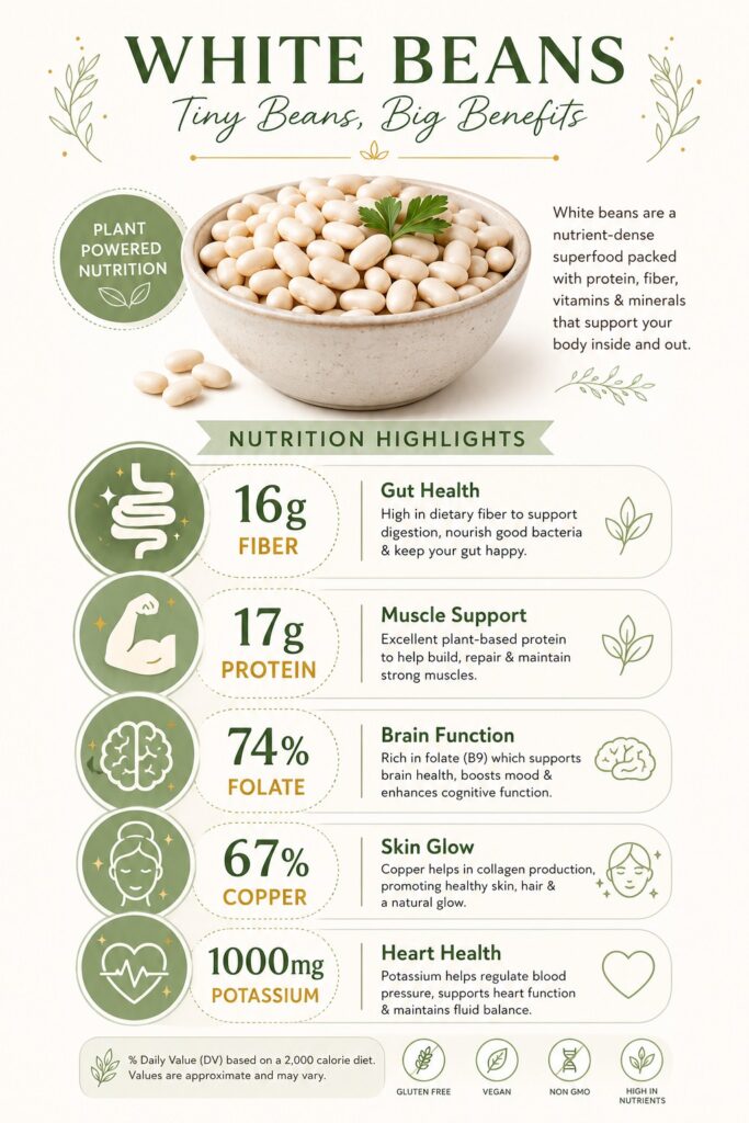 Modern vertical infographic showing white bean nutrition facts including fiber, protein, folate, copper, and potassium with health benefit icons and wellness design elements.