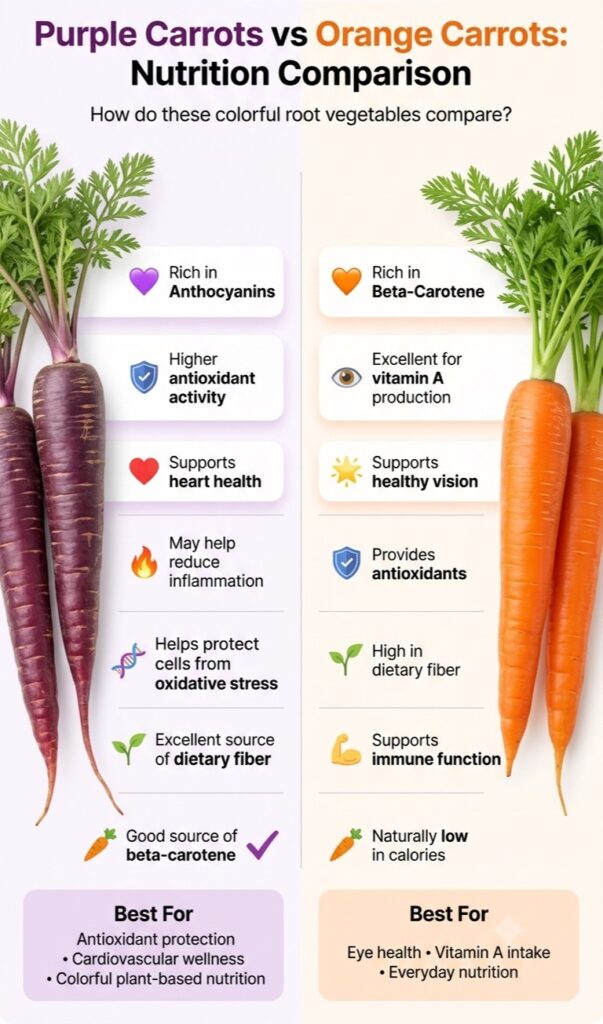 Nutrition comparison infographic showing purple carrots vs orange carrots, comparing antioxidant levels, anthocyanins, beta-carotene, vitamin A, fiber, and key health benefits.Image Title